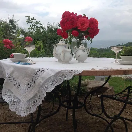 Douro With Private Pool 4* Армамар